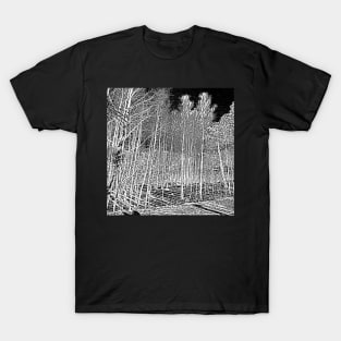 The Forest at Night T-Shirt